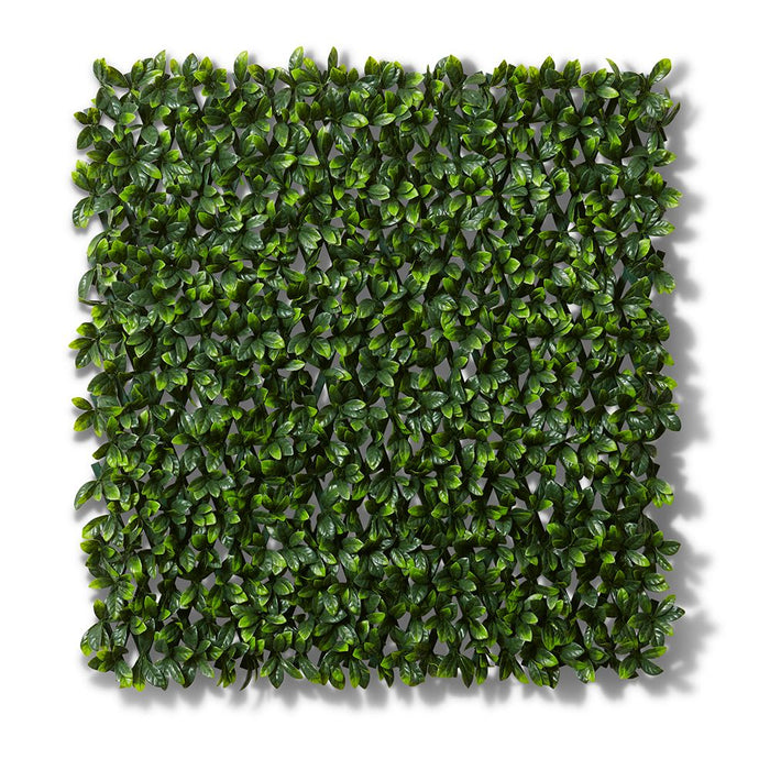Laurel Extendable Trellis (Out - Green, 200cm (H)