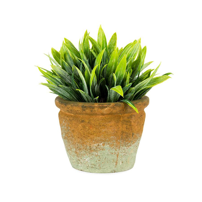 Terracotta - Potted Artificial Grass Plant NEW Plants & Pots