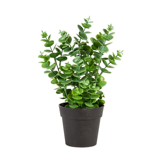 Potted Artificial Eucalyptus Plant NEW Plants & Pots