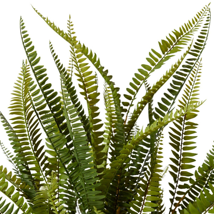 Fern Boston Potted - Green, 86cm (H)