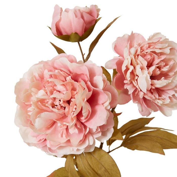 Peony Queen Decor Spray Pack of 12 - Dusty Pink, 76cm (H)