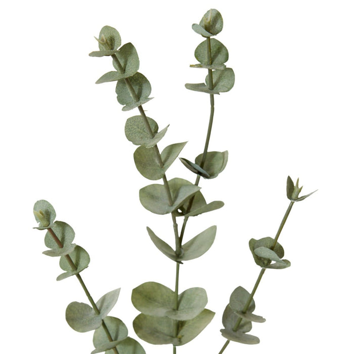 Eucalyptus Spray Pack of 12 - Grey Green, 61cm (H)