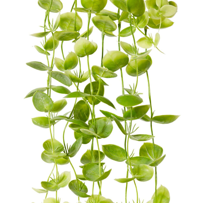 Coin Leaf Hanging Bush Potted - Green, 90cm (H)