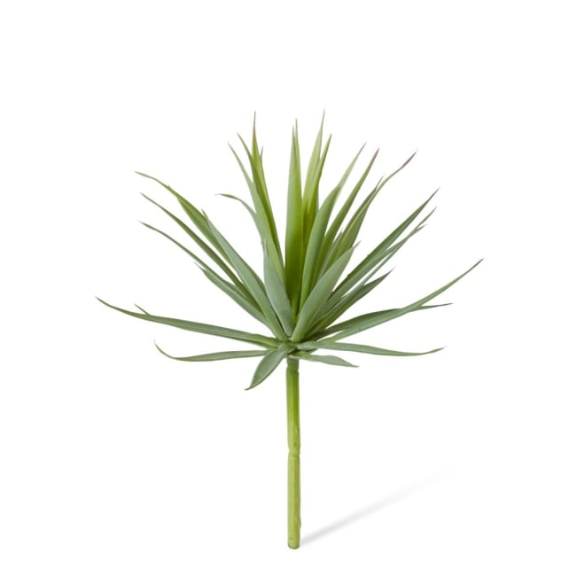 Agave Needle Pack Of 18 - Grey Green, 14cm (H)
