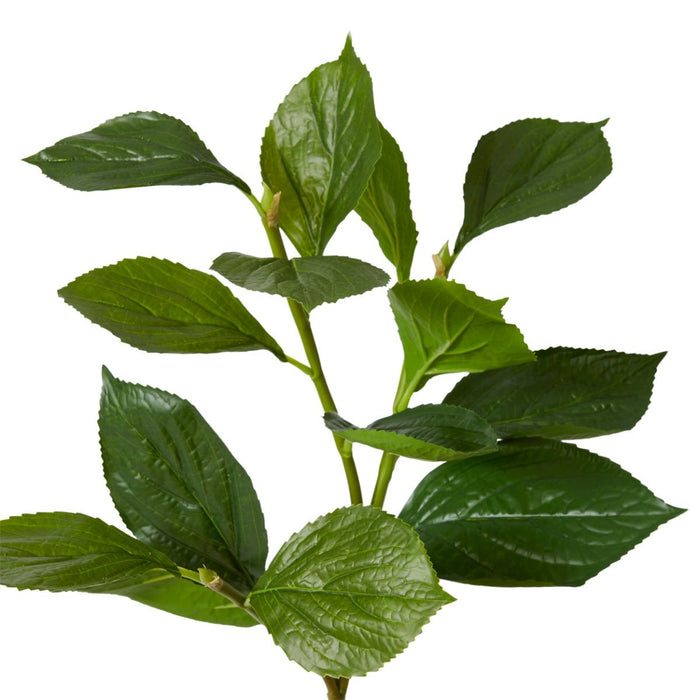 Hydrangea Leaf Spray Pack of 6 - Green, 81cm (H)