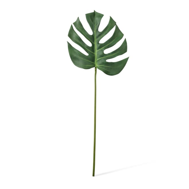 Monstera Lush Stem Pack Of 12 - Green, 75cm (H)
