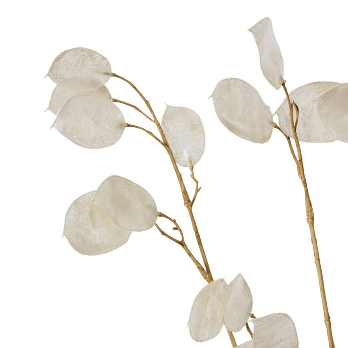 Silver Dollar Spray Pack of 12 - Pearl, 94cm (H)