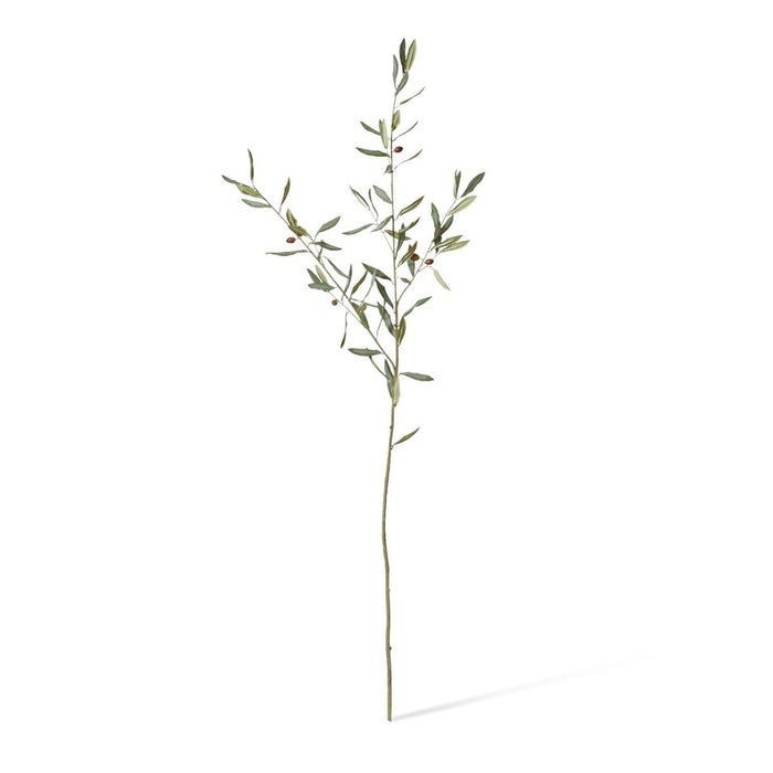 Olive Grand Branch Pack of 12 - Grey Green, 129cm (H)