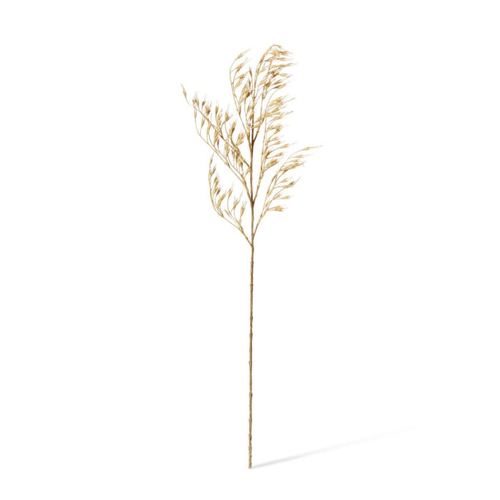 Wheat Grass Stem Pack of 12 - Natural, 89cm (H)
