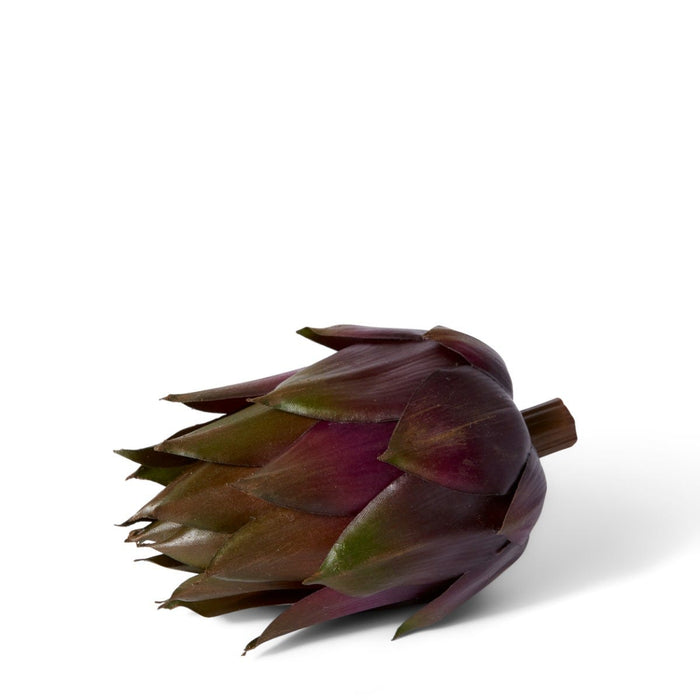 Artichoke Pack of 12 - Green Brown, 13cm (H)