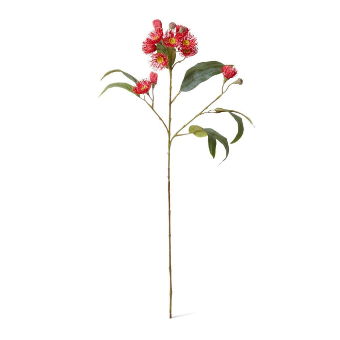 Eucalyptus Flowering Spray Pack of 12 - Red, 76cm (H)