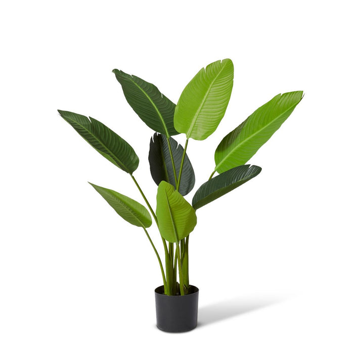 Bird of Paradise - Green, 122cm (H)