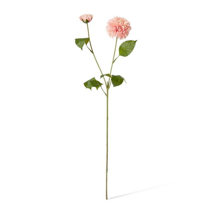 Dahlia Pom Pom Spray Pack of 12 - Pink, 72cm (H)