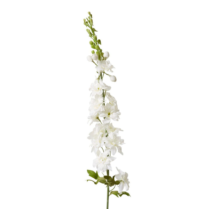 Delphinium Stem Pack of 12 - White, 99cm (H)