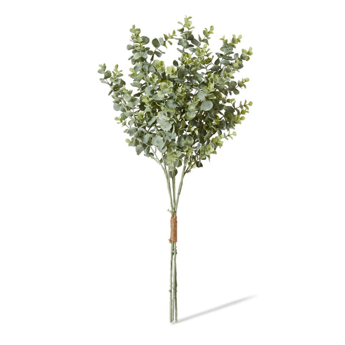 Eucalyptus Bundle Pack of 12 - Grey Green, 64cm (H)