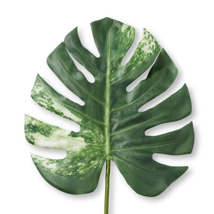 Monstera Lush Stem Pack Of 12 - Green White, 78cm (H)