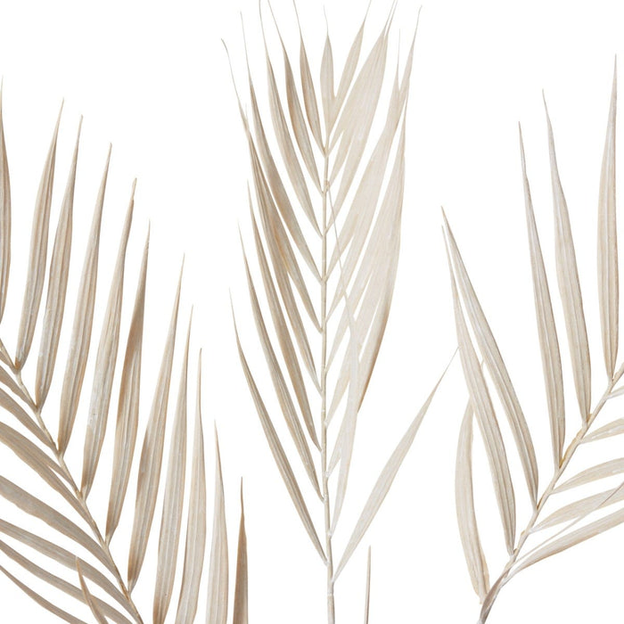 Palm Decor Spray Pack of 12 - Cream, 97cm (H)