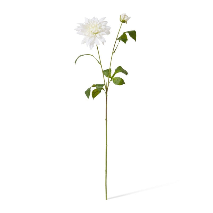 Dahlia Spray Pack of 6 - White, 72cm (H)
