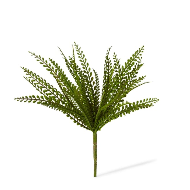 Fern Lemon Button Pack Of 12 - Green, 33cm (H)