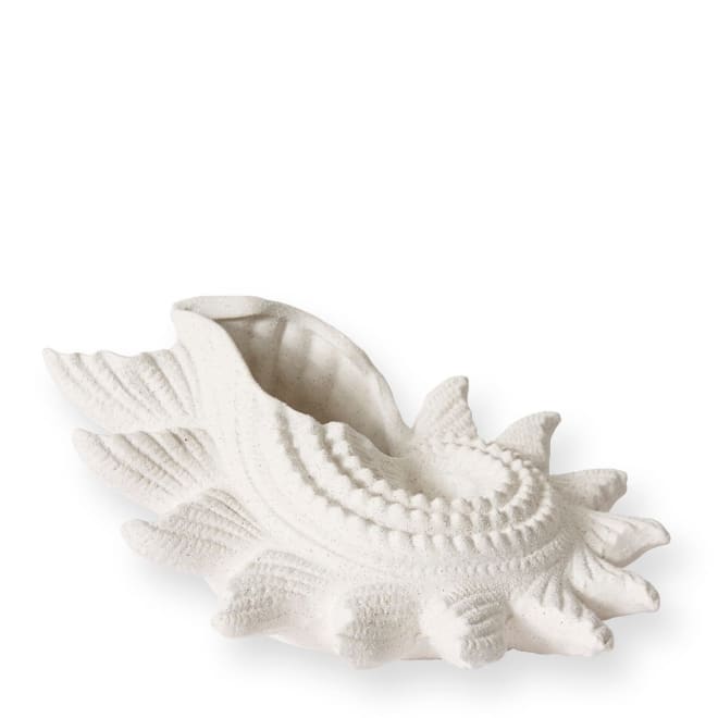 Star Shell - White, 15cm (H)