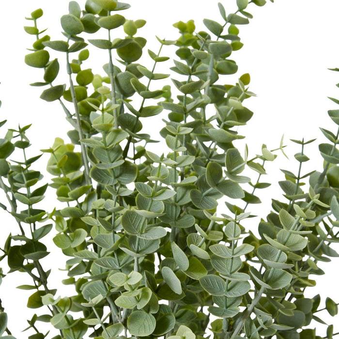 Eucalyptus Bush Pack Of 12 - Grey Green, 50cm (H)