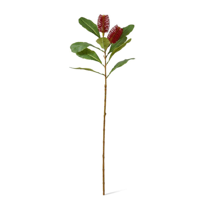 Banksia Spray Pack of 12 - Red, 76cm (H)