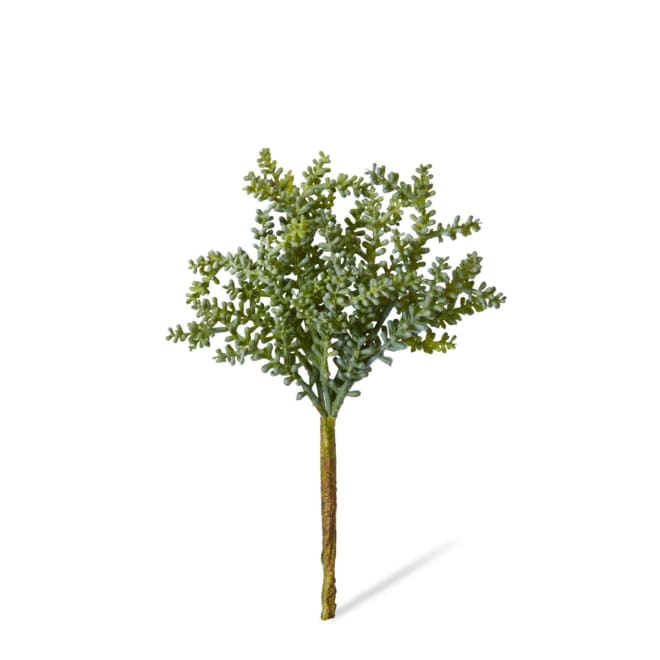 Senecio Stem Pack Of 12 - Green, 19cm (H)