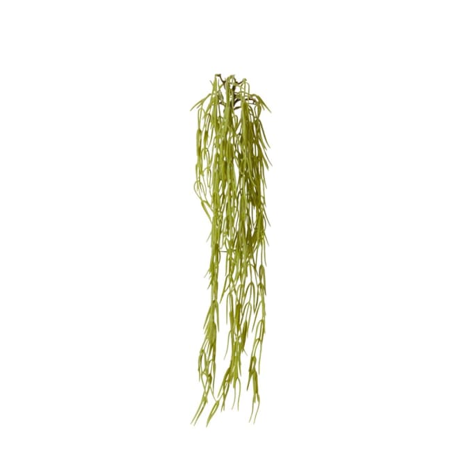 Wax Vine Hanging Plant Pack Of 12 - Grey Green, 53cm (H)