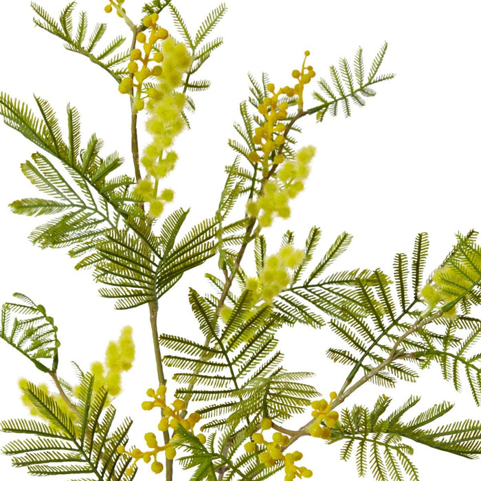 Wattle Spray Pack of 12 - Yellow, 79cm (H)
