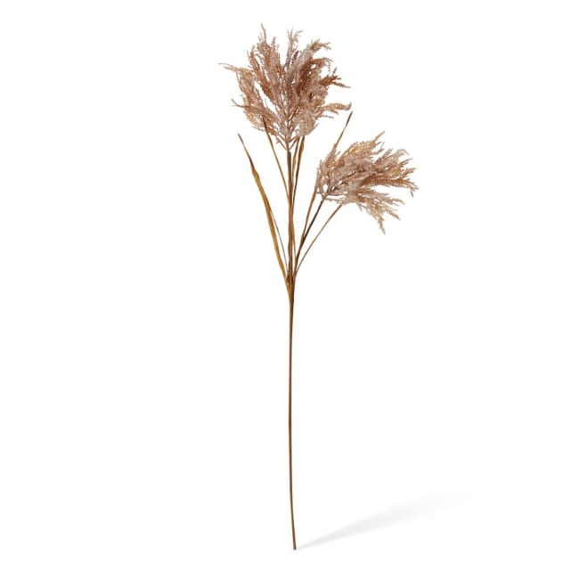 Pampas Field Grass Decor Spray Pack Of 12 - Rust, 120cm (H)