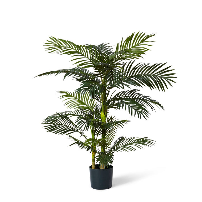 Palm Cane - Green, 152cm (H)