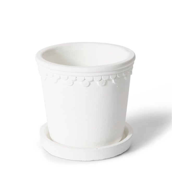 Sophia Pot w Saucer - White, 11cm (H)