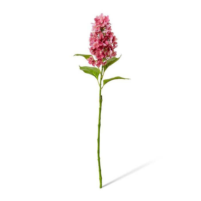 Cone Hydrangea (RT) Pack of 12 - Pink, 75cm (H)