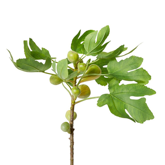 Fig Branch Pack of 6 - Green, 89cm (H)