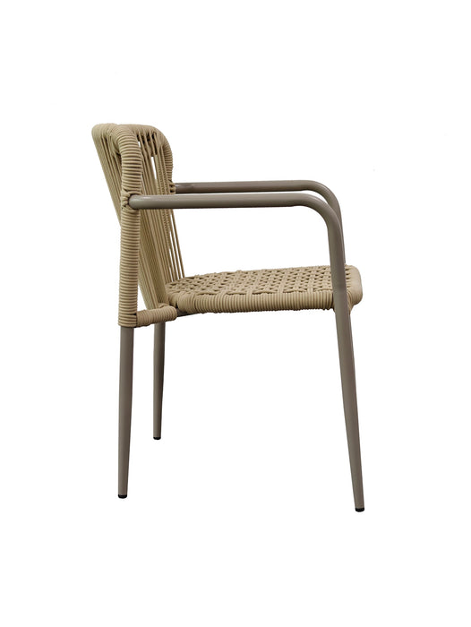Hensley Dining Chair Champagne (Set of 2)