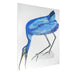 Bright blue bird illustration on canvas by [Brand].