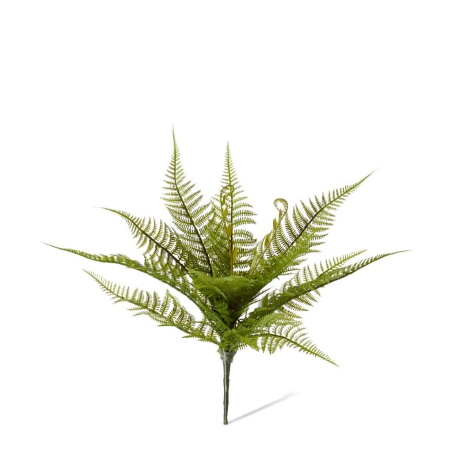 Fern Bracken Pack Of 12 - Green, 35cm (H)
