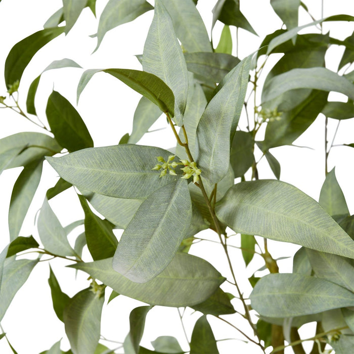 Gum Tree - Grey/Green, 160cm (H)