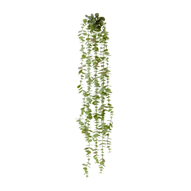 Coin Leaf Hanging Bush Pack Of 12 - Green, 81cm (H)