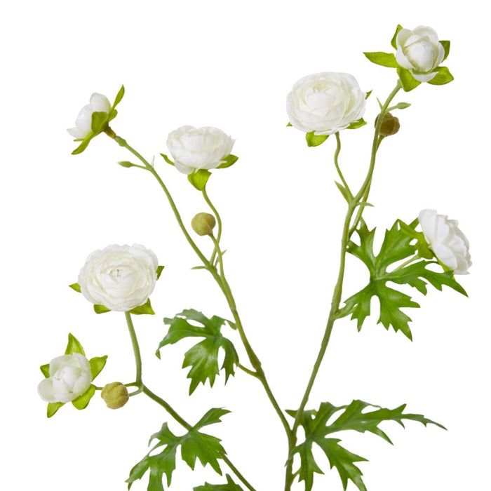 Ranunculus Spray Pack of 12 - White, 56cm (H)