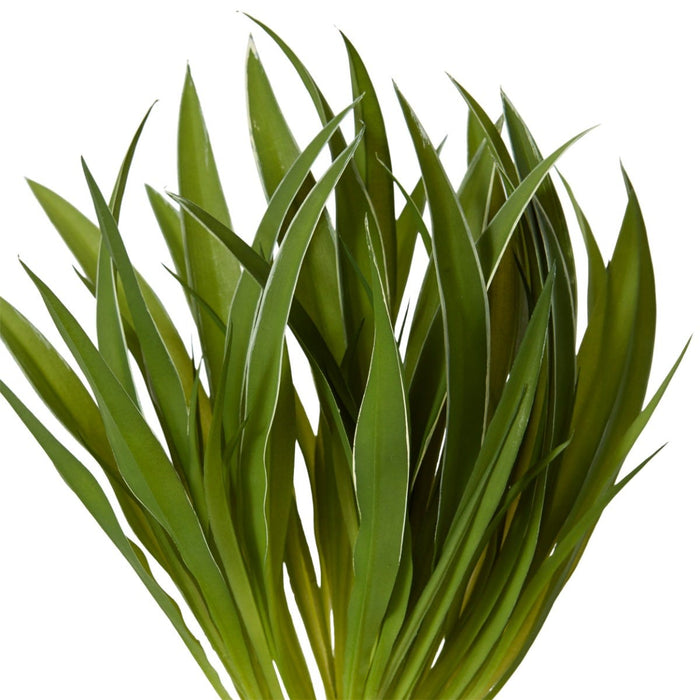Grass Buffalo Plant Pack Of 12 - Green, 35cm (H)