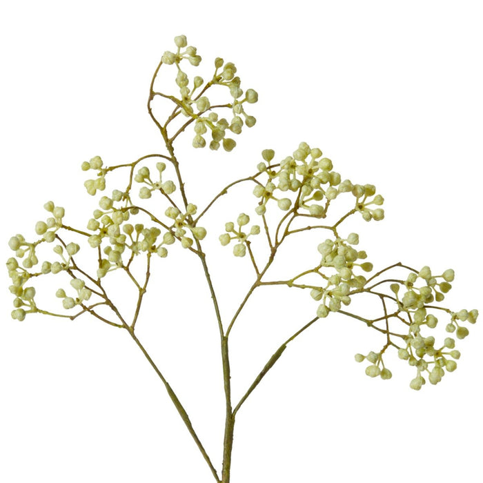 Seeding Berry Stem Pack Of 12 - Light Green, 63cm (H)