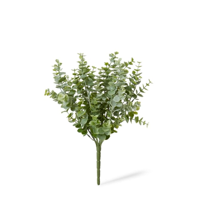 Eucalyptus Bush Pack Of 12 - Grey Green, 36cm (H)