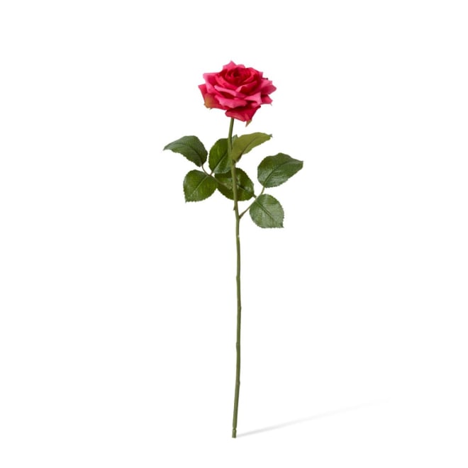 Classic Rose Stem Pack Of 12 - Beauty, 46cm (H)
