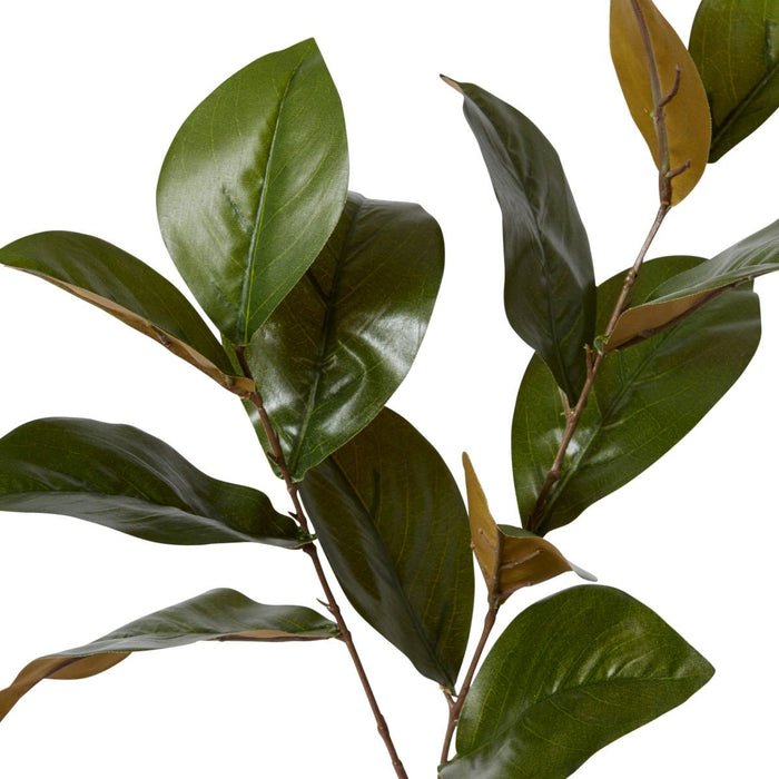 Magnolia Leaf Spray Pack of 12 - Green, 76cm (H)