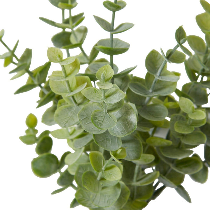 Eucalyptus Bush Pack of 24 - Green, 24cm (H)