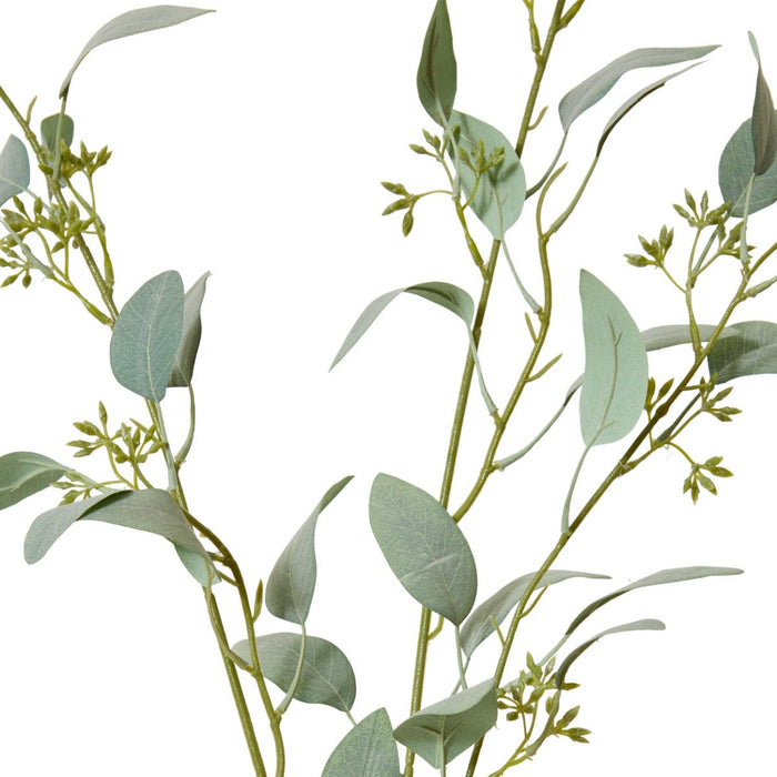 Eucalyptus Seed Spray Pack of 12 - Grey Green, 75cm (H)