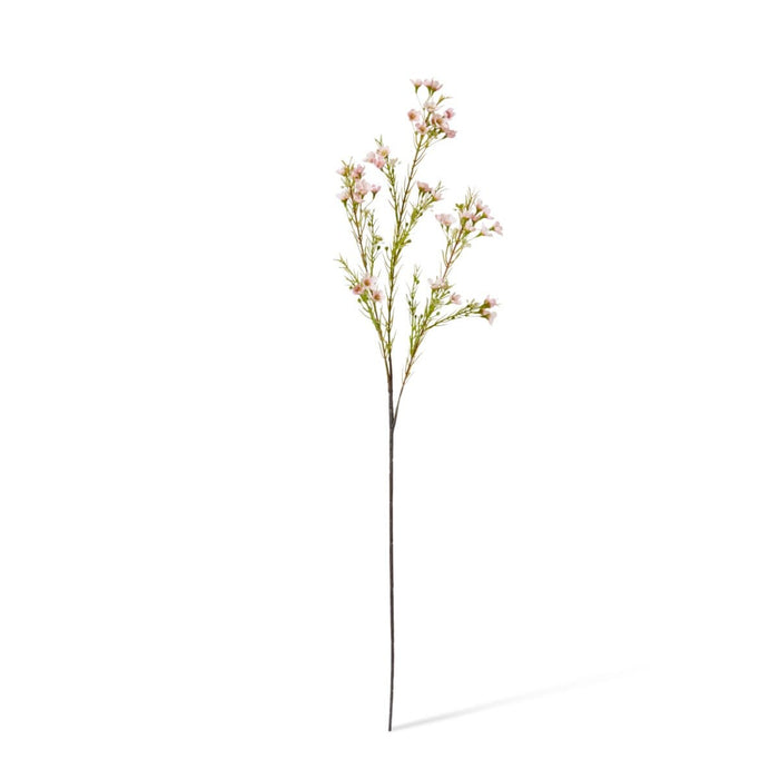Wax Flower Spray Pack of 12 - Pink, 68cm (H)