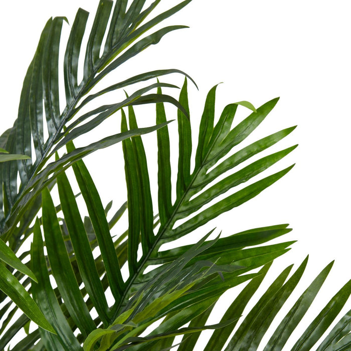 Palm Areca - Green, 65cm (H)