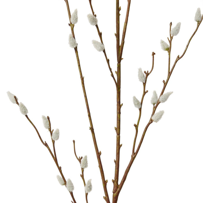 Pussy Willow Branch Pack of 12 - Natural, 127cm (H)